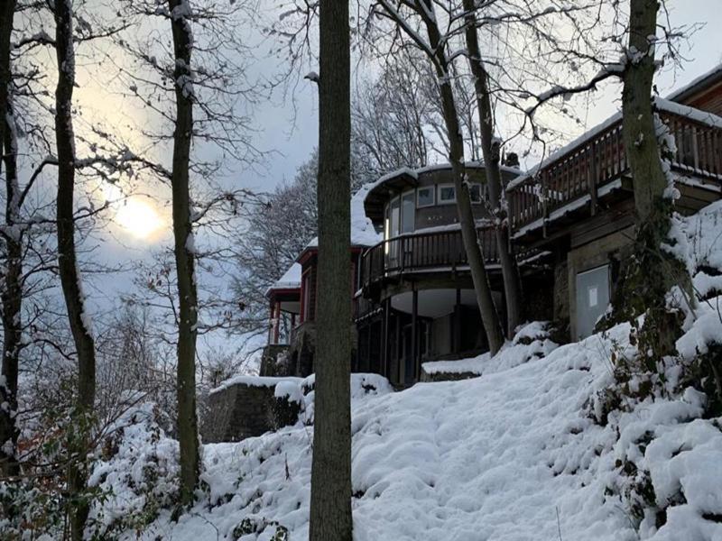 Villa Waldhaus Anne à Nideggen Extérieur photo